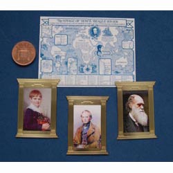The Darwin Package (Brass Frames)